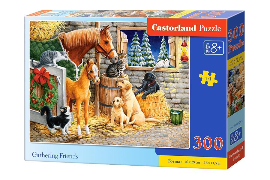 

Пазл Castorland Встреча друзей 300 элементов В-030255 (tsi_38224)