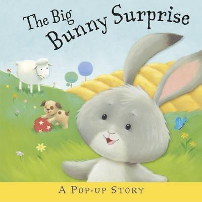 

Книга The Big Bunny Surprise ISBN 9781848777699