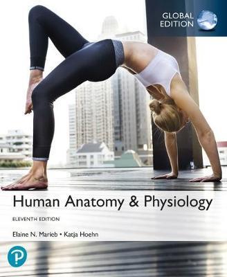 

Книга Human Anatomy & Physiology, Global Edition ISBN 9781292260853