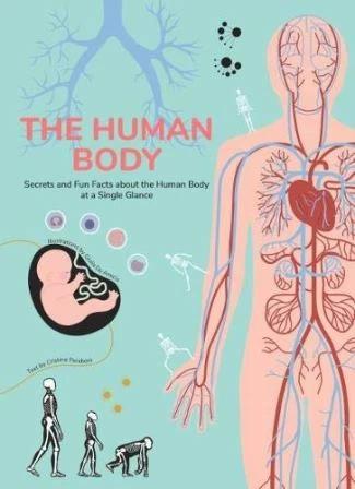 

Книга The Human Body Cristina Peraboni, Giulia De Amicis ISBN 9788854413726