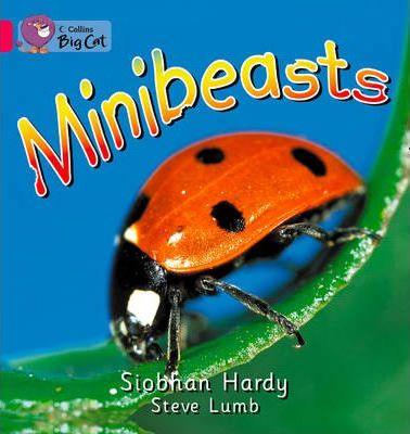 

Рабочая тетрадь Minibeasts. Workbook. ISBN 9780007474950
