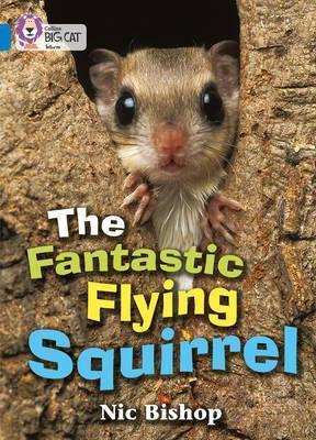 

Книга The Fantastic Flying Squirrel. Band 4 ISBN 9780007185832