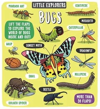 

Книга с окошками Little Explorers: Bugs Allan Sanders, Ruth Martin ISBN 9781783708659