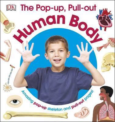 

Книга Human Body ISBN 9780241257654