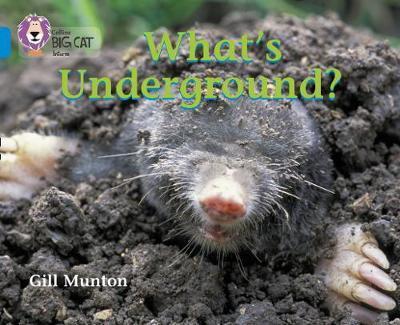 

Книга Whats Underground Band 4 ISBN 9780007185863