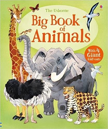 

Книга Big Book of Animals ISBN 9781474928953