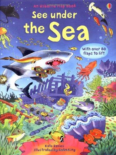 

Книга с окошками See under the Sea Colin King, Katie Daynes ISBN 9780746096383