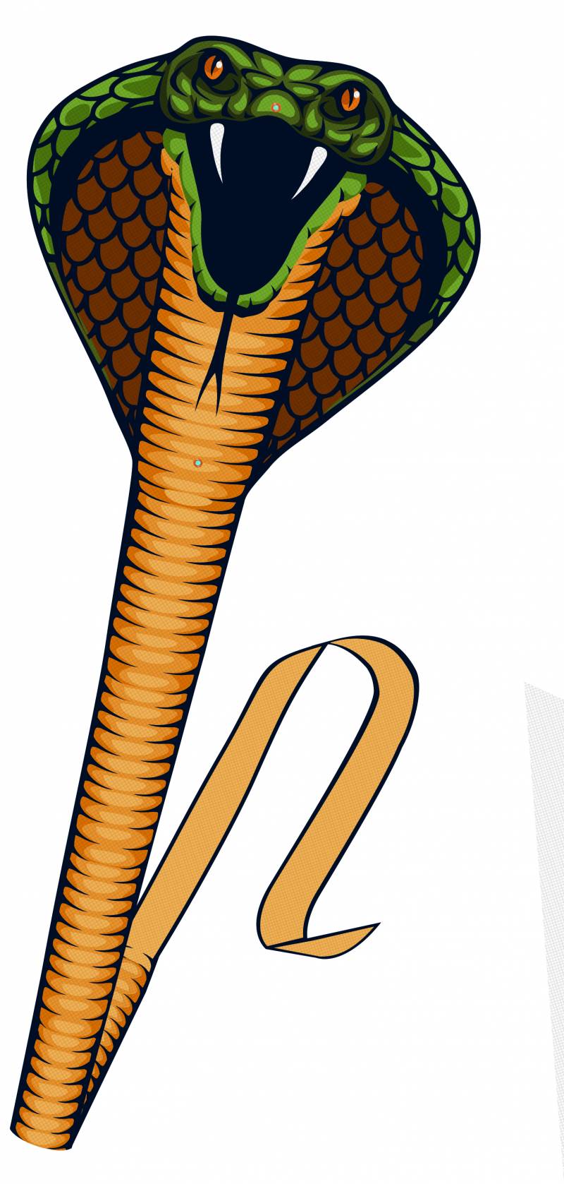 

Ромбовидный воздушный змей Paul Gunther COBRA (1154)