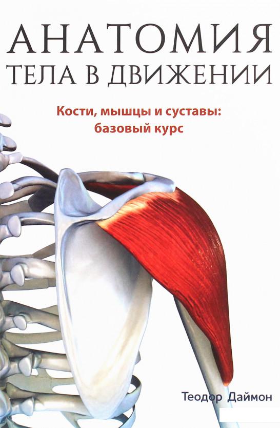 

Анатомия тела в движении (1225605)