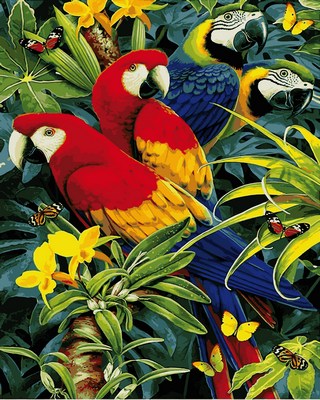 

Картина по номерам Красочные ара 40*50 MR-Q2122 Mariposa