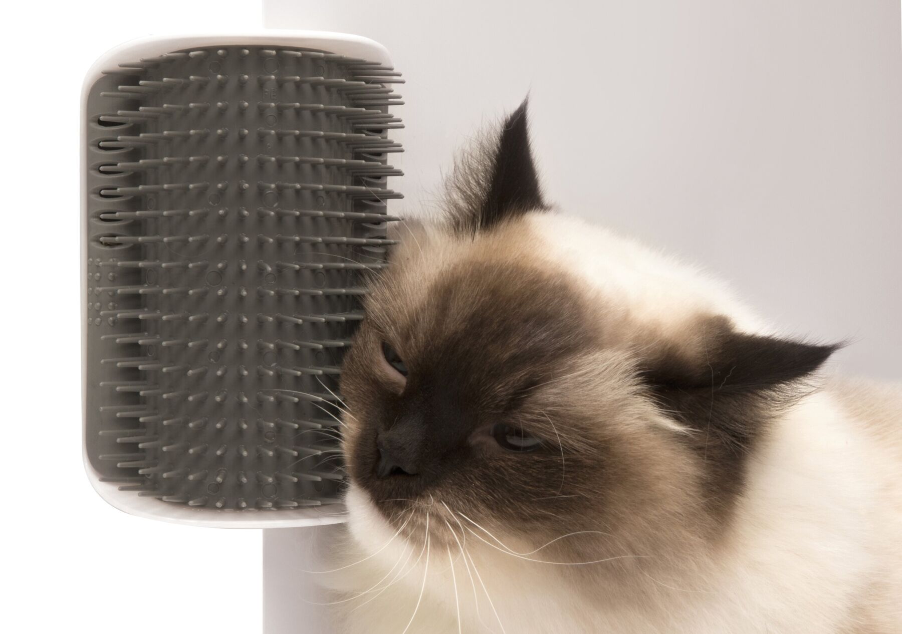 

Щетка для самостоятельной чистки Catit Self Groomer 2.0 с кошачьей мятой