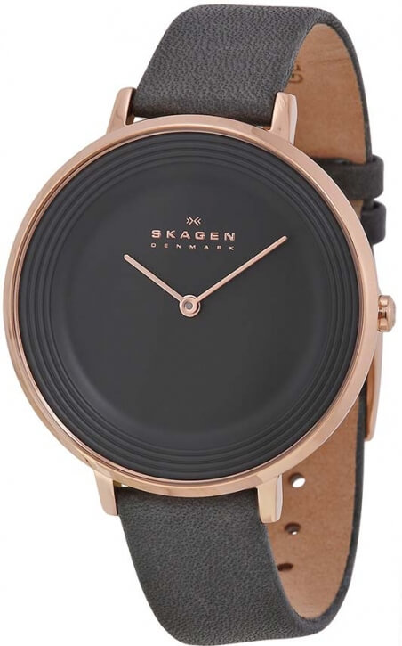

Женские часы Skagen SKW2216