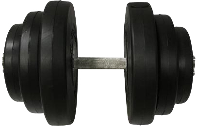 

Гантель наборная Newt Rock Pro-R композитная в пластиковой оболочке 19.5 кг (NE-PL-R-019)