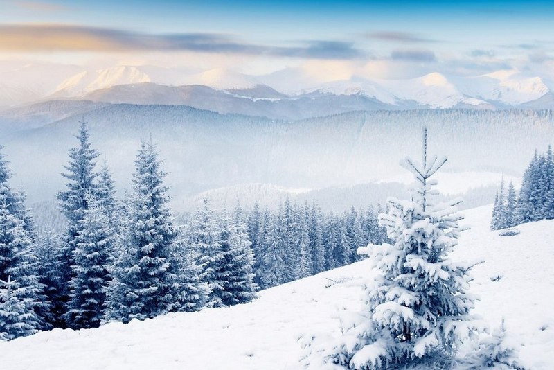 

Фотообои LaPrint Карпаты Шагрень (100754)