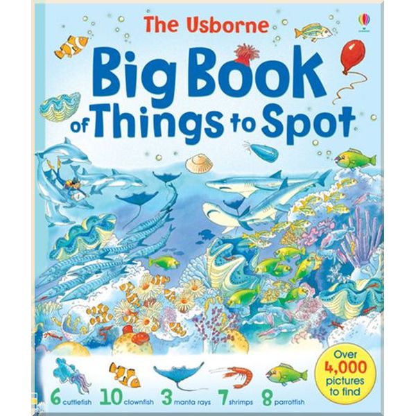 

Usborne Big book of things to spot. Gillian Doherty. ISBN:9780746053010