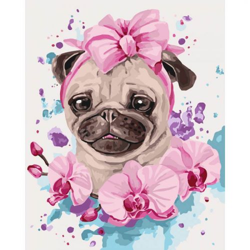 

Картина по номерам "Домашняя любимица"