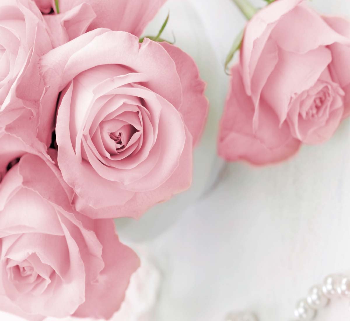 

Фотообои WS Wallpaper Цветы 3D 294*270 (31161) Песок