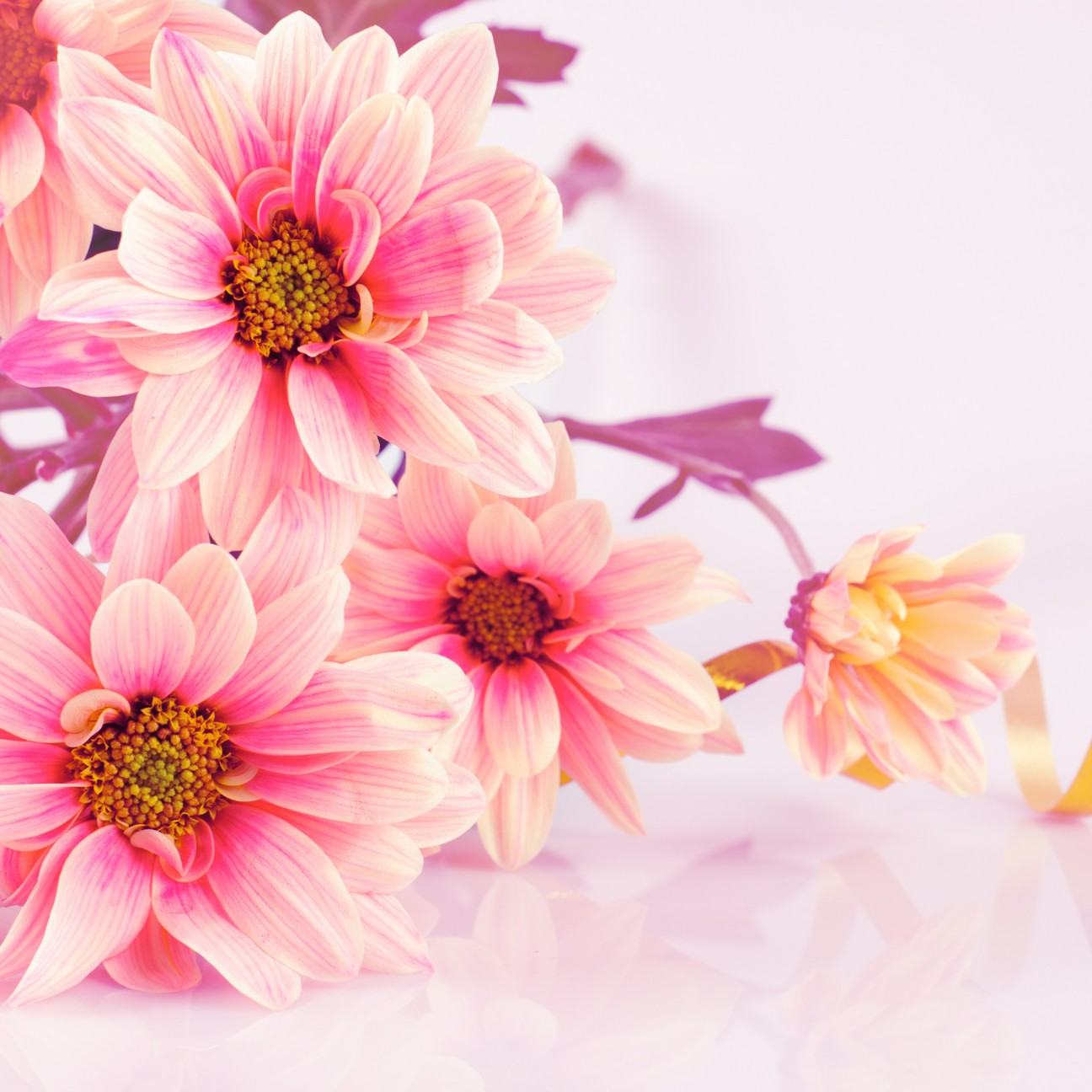 

BeHappy Фотообои: Яркий цвет flowers00088 Холст
