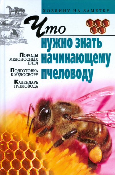 

Что нужно знать начинающему пчеловоду