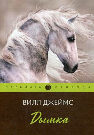

Дымка (4243230)