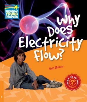 

Why Does Electricity Flow