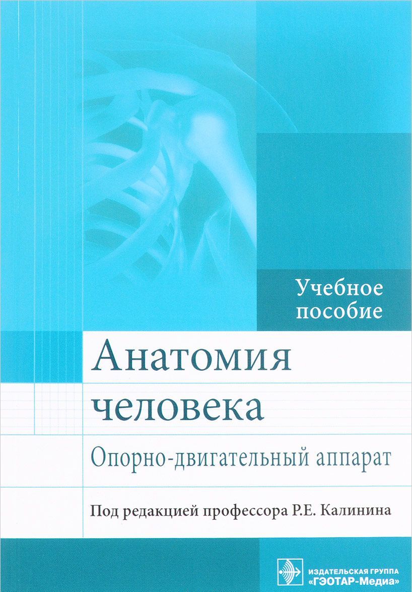 

Анатомия человека. Опорно-двигательный аппарат. Учебное пособие