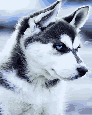 

Картина по номерам "Щенок Хаски" 40*50 Brushme