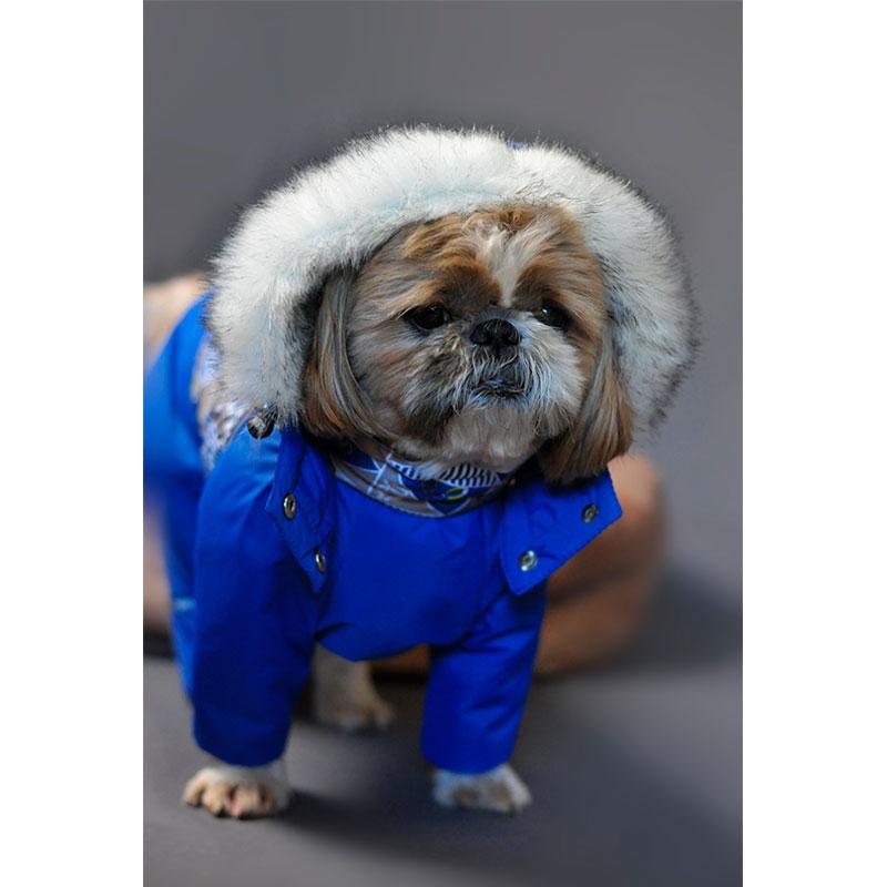 

Комбинезон для собак Украина ТД S3 (39608-zm)