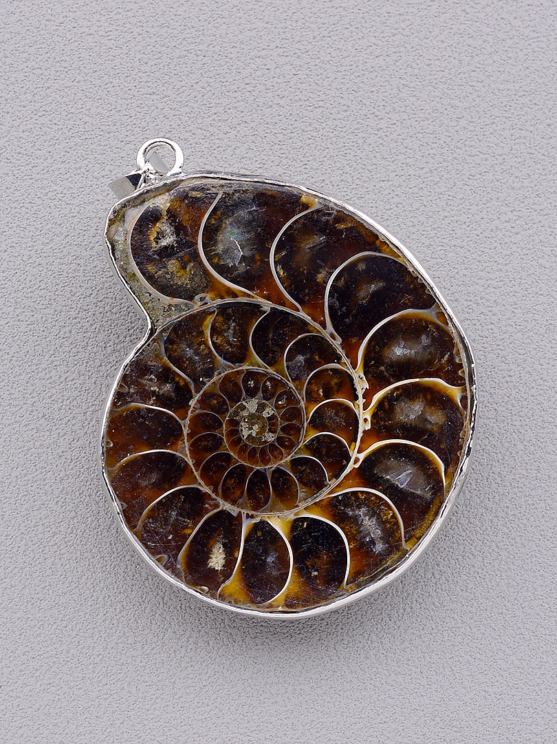 

Кулон на шею Аммонит 42х33х10мм. 047455