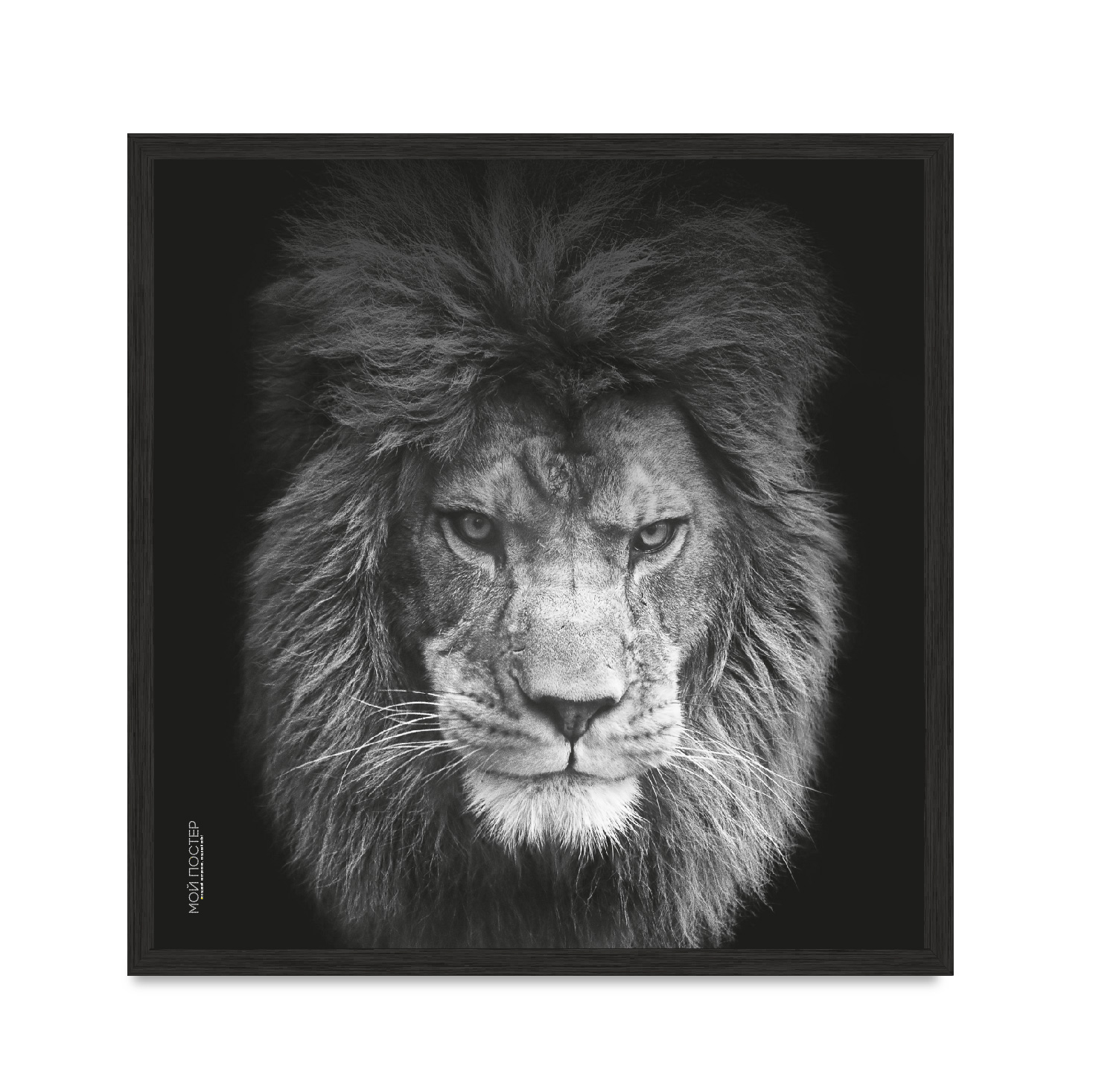 

Постер в рамке MY POSTER с антибликовым стеклом 30х30 см Black "Lion vol 5."