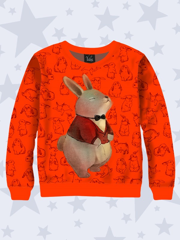 

Детский свитшот Mister rabbit (7778) Vilno 80-86 Разноцветный 000134612