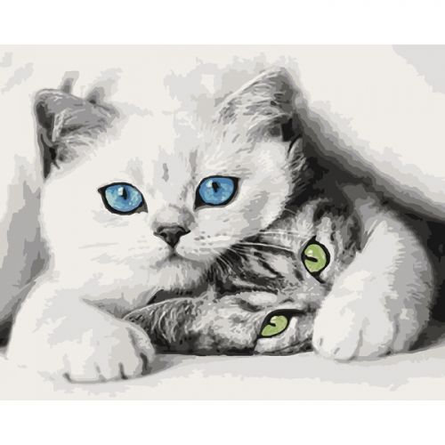 

Картина по номерам "Котята"