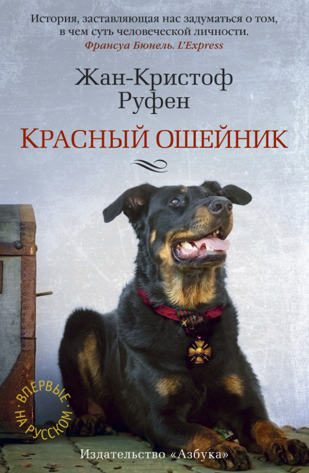 

Красный ошейник Азбука (1357)