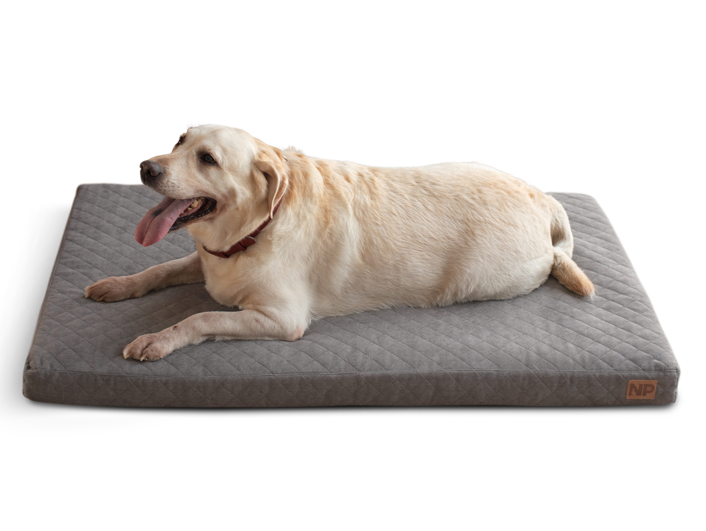 

Матрас для собак Noble Pet Nolan Графит 120 х 80 х 8 см (N2130/120)