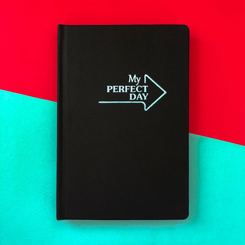 

Мотивирующий планер-ежедневник My perfect day LifeFLUX А5 мятный на черном (украинский язык)
