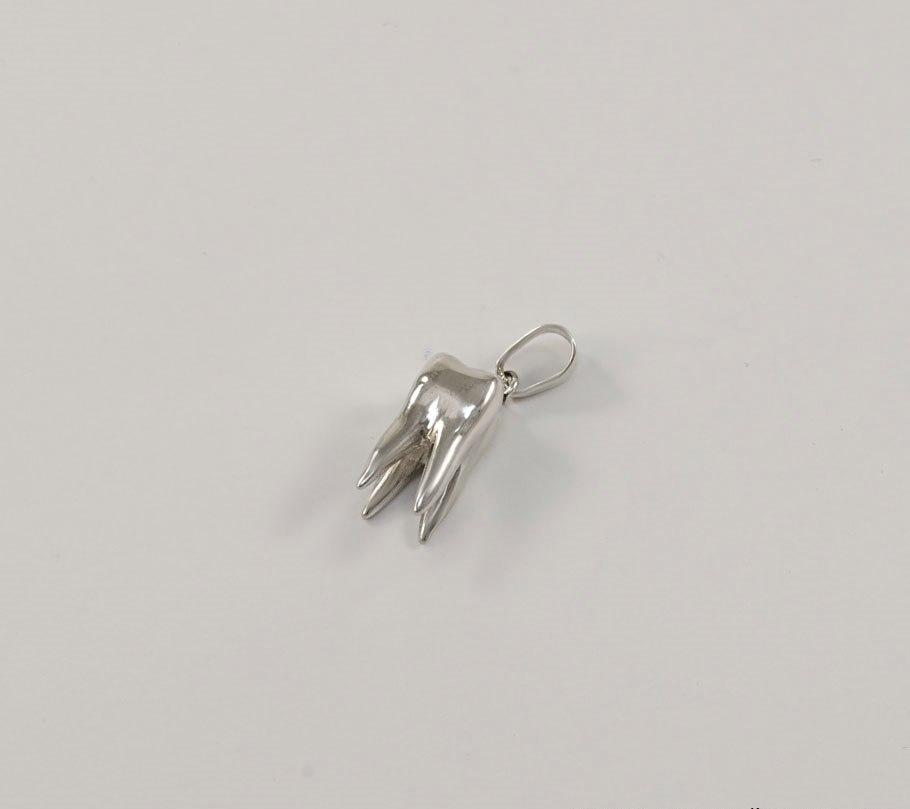 

Кулон зуб Maxi Silver 7567
