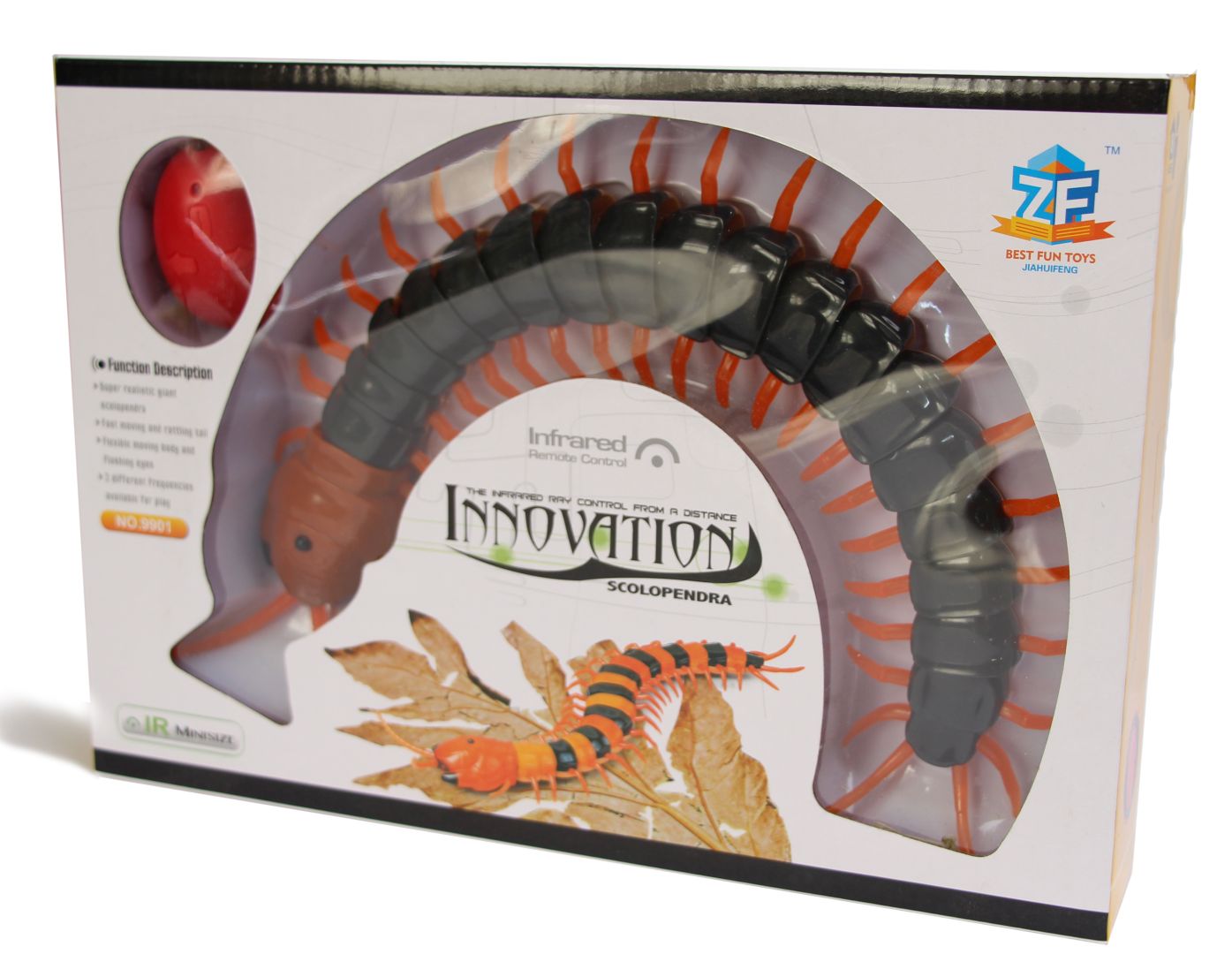

Многоножка Nati Scolopendra