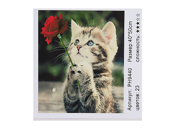

Картина по номерам "Котик и роза" 40*50см Shinerichy Ind (9440)