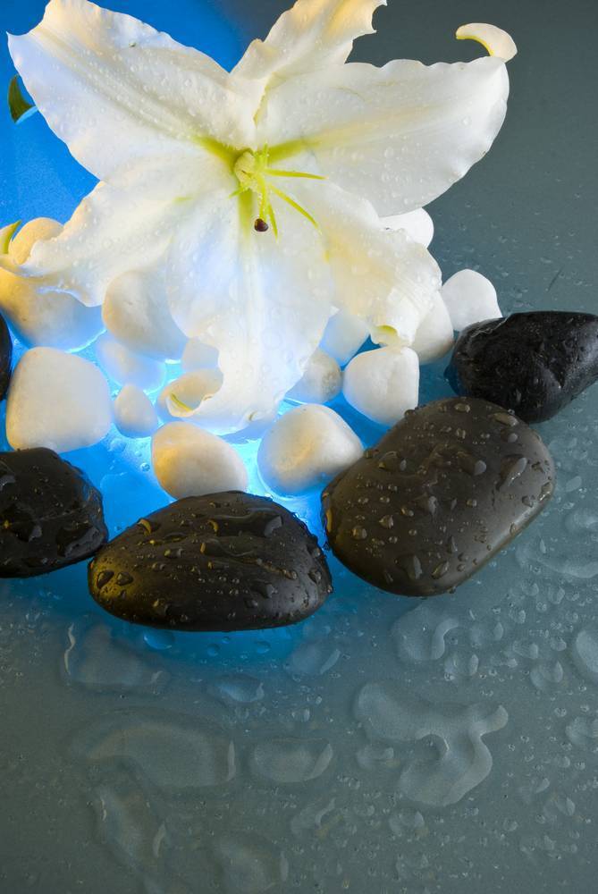 

Картина на холсте LaPrint SPA 80х120 см
