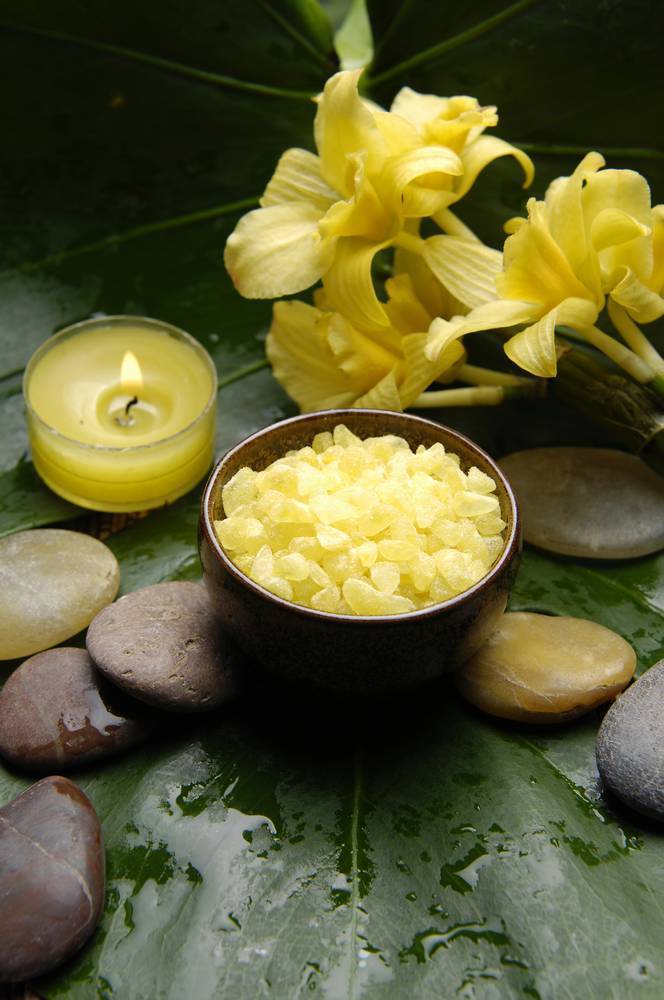 

Картина на холсте LaPrint SPA 60х90 см