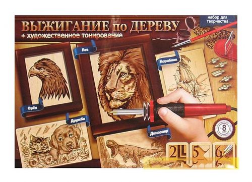 

Набор для творчества "Выжигание по дереву" WD-01-02 (15-40908)