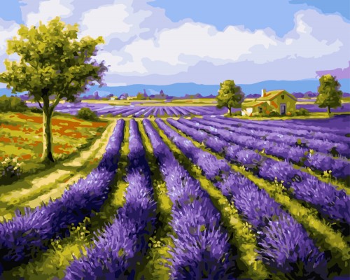 

Картина по номерам "Лавандовые поля" 40*50 Brushme