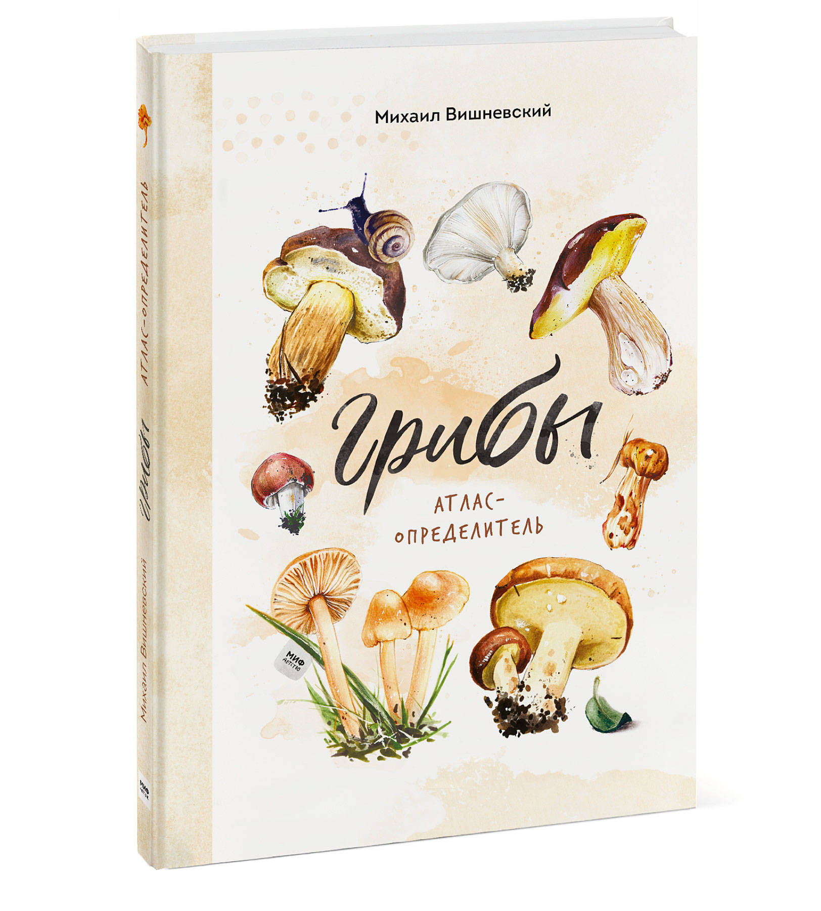 

Грибы. Атлас-определитель (18346019)