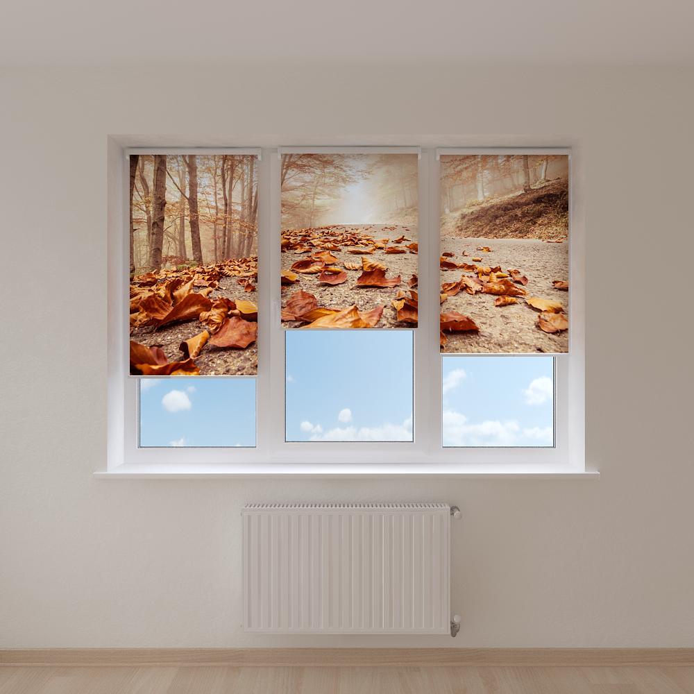 

Рулонные фотошторы Print-Market осенняя пора (1782)