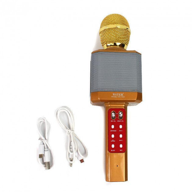 

Караоке-микрофон портативный HLV DM WS-1828 Gold