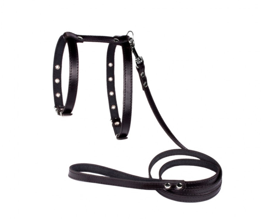 

Шлейка и поводок для небольших собак Lockdog M (30-44 см) (zoo0000526) Черный