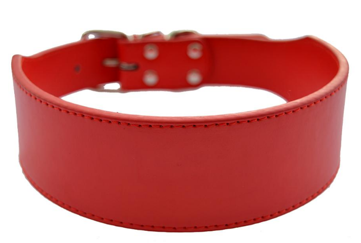 

Кожаный ошейник для собаки Lockdog L (45-55 см) (zoo0000513) Красный