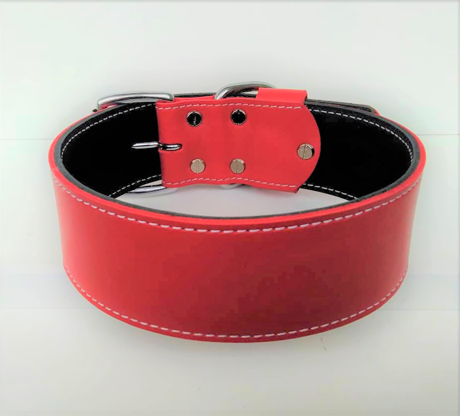 

Кожаный ошейник для собаки Lockdog L (45-55 см) (zoo0000522) Красный