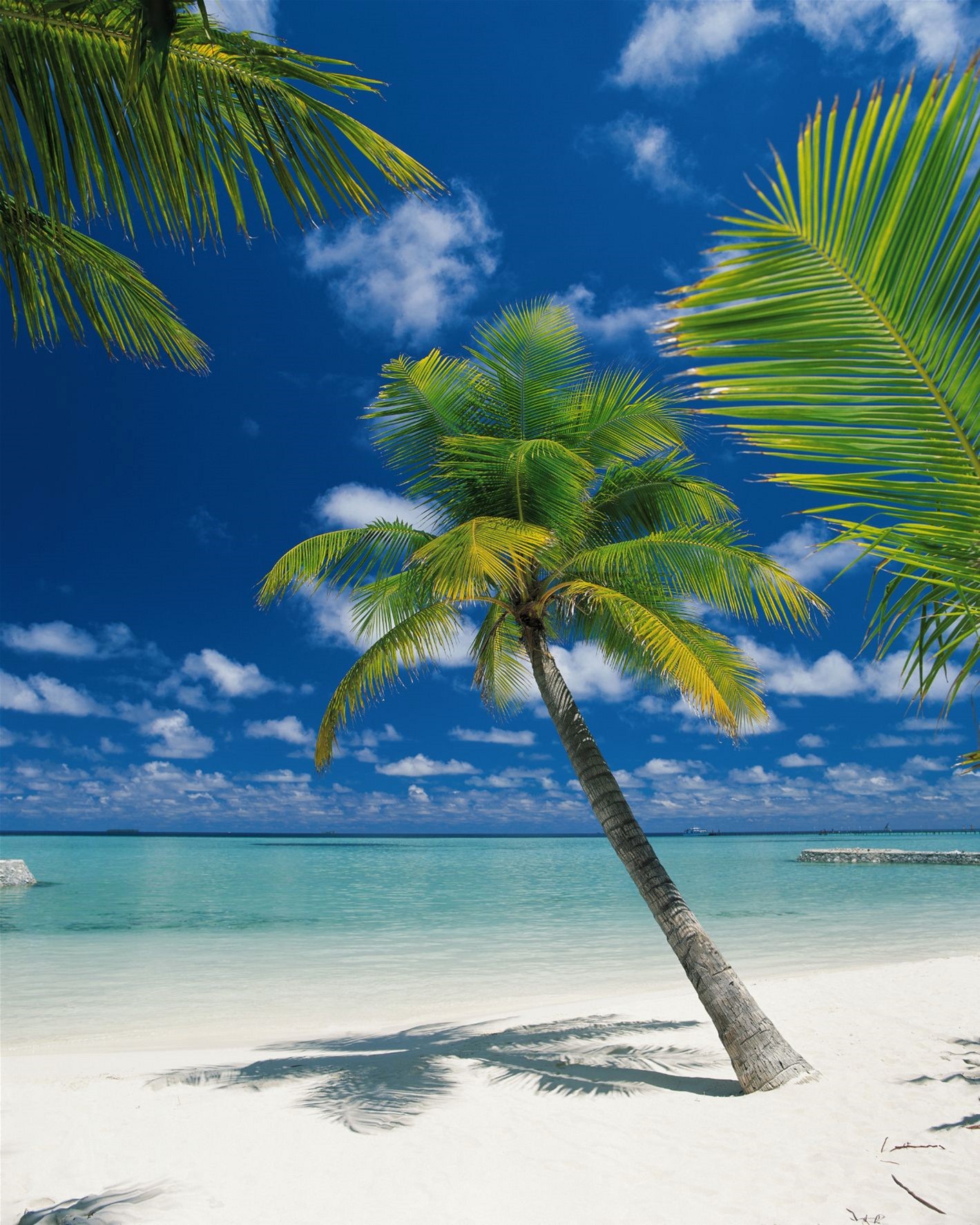 

Фотообои бумажные Komar Ari Atoll 184x254 см 4 сегмента (4-883)