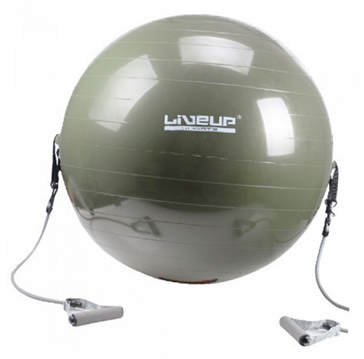 

LiveUp Фитбол с эспандером 65см Хаки (56396011)